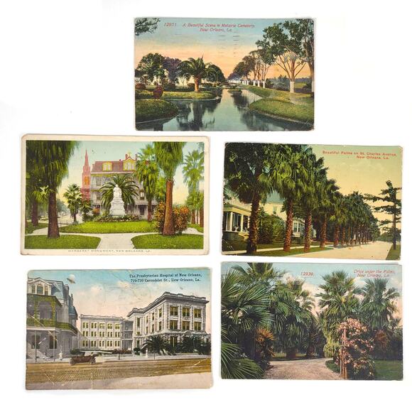 Lot of 5 1915-16 NEW ORLEANS LA Lithograph Postcards, Cemetery Hospital Palms+ - Picture 1 of 2